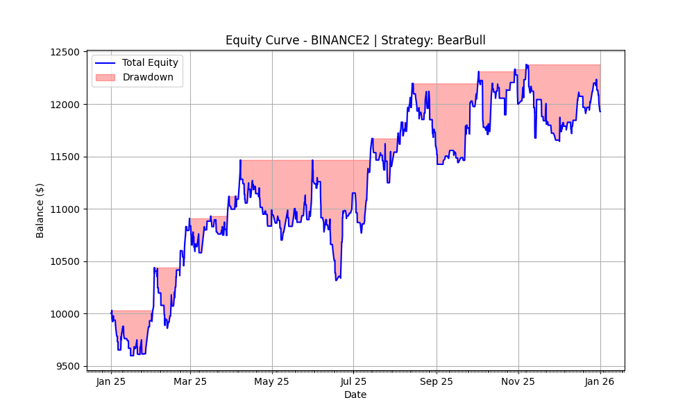 BearBull 2025 Equity Curve