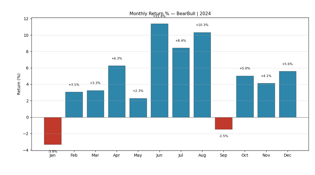 BearBull 2024 Monthly Returns