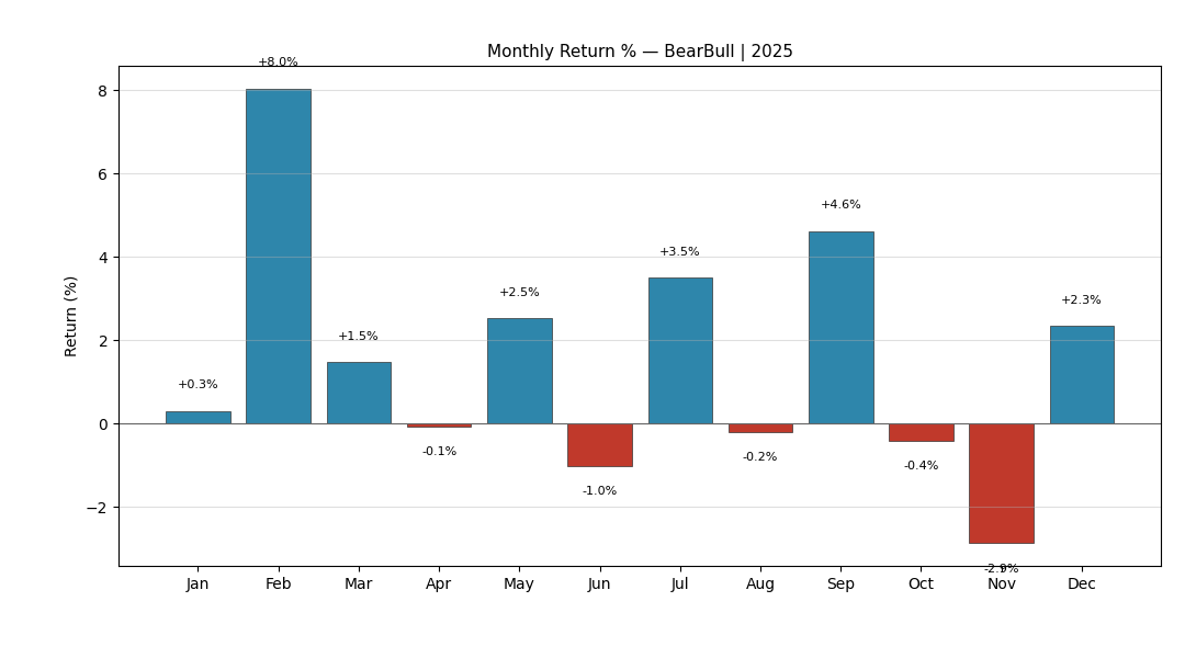 BearBull 2025 Monthly Returns